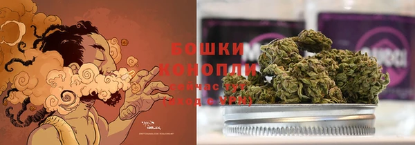 сатива Баксан