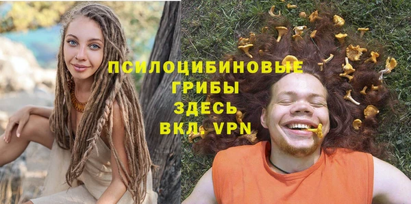 сатива Баксан