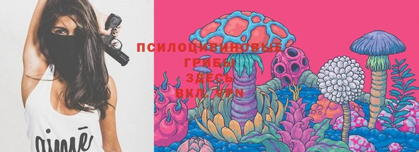 сатива Баксан
